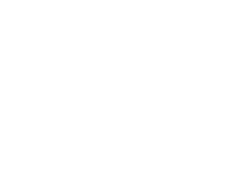 Tagbjlebeslagbilfortilbagende-01