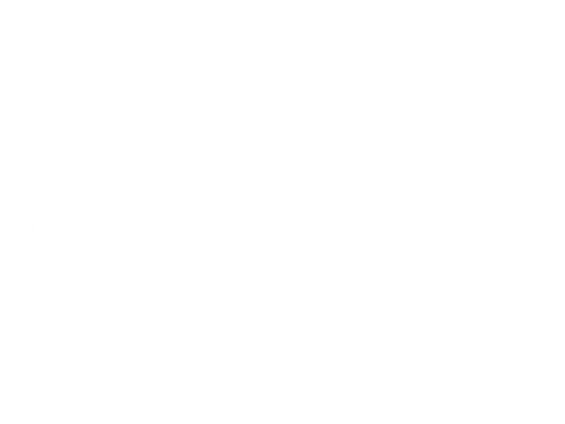 Tagbjlebeslagbilfortilbagende-01